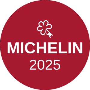 Logo Michelin 2025