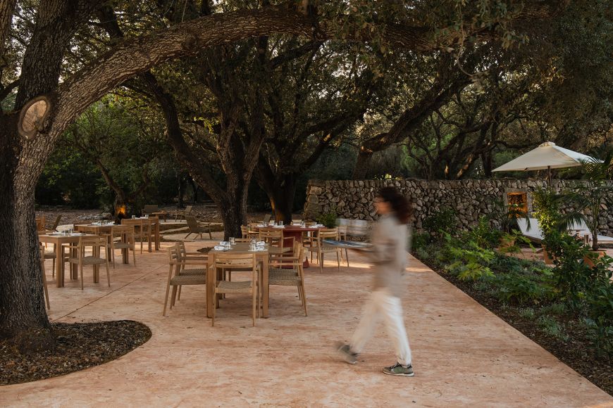 Lámparas colgantes árbol