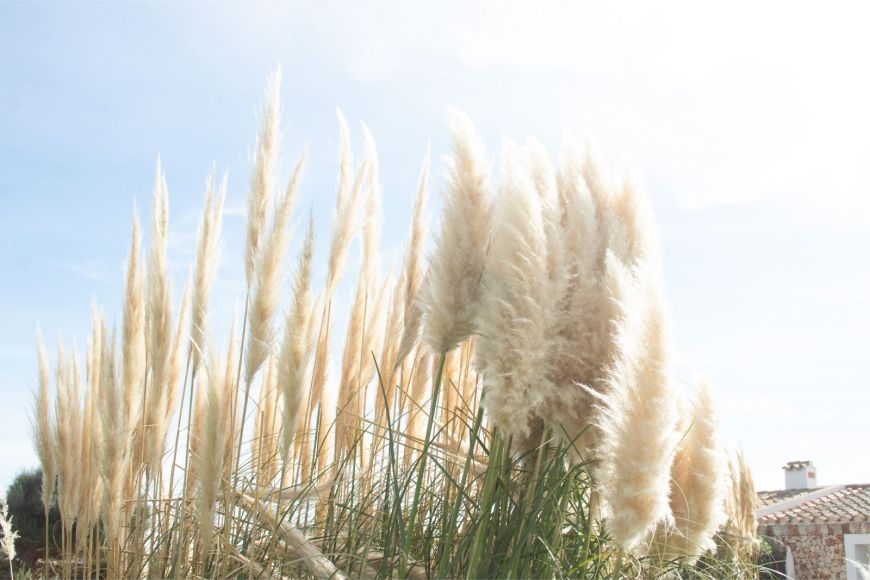 Sant Ignasi en Menorca